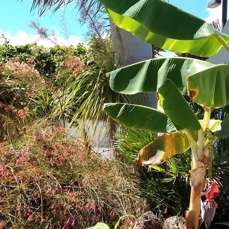 Apartment Botanico Garden Guatiza