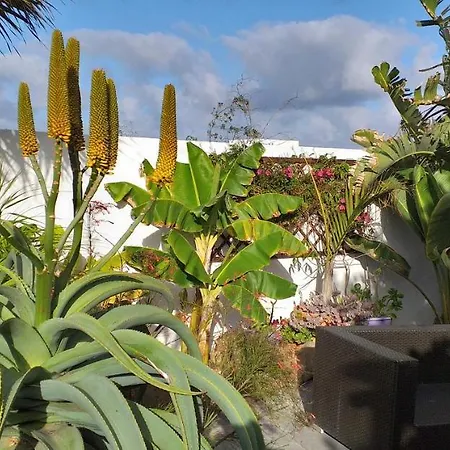 Apartment Botanico Garden